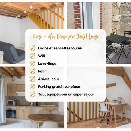 Duplex Joliblois Apartment ภายนอก รูปภาพ