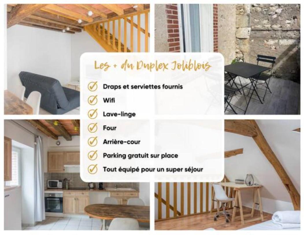 Duplex Joliblois Apartment ภายนอก รูปภาพ